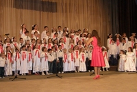Otvoreni Višnjićevi dani