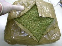 Kod crnogorca pronađeno 15 kilograma marihuane