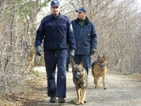 Akcija “Bald”: Uhapšen M. S. iz Berkovića