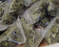 Crna Gora: Zaplijenjeno tri kilograma “skanka”