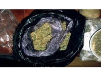 Zaplijenjeno 36 kilograma skanka