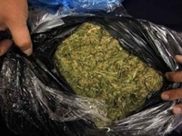Makedonija: Zaplijenjeno 511 kilograma marihuane
