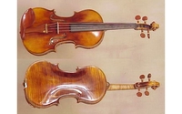 Lopovi odnijeli violine
