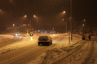 Drvo palo na auto u prolazu