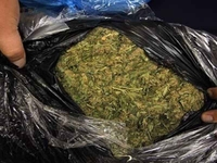 Makedonija: Zaplijenjeno 25 kilograma marihuane