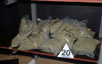 Zaplijenjeno 908 kilograma marihuane  