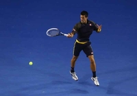 Novak srušio Harisona, na redu Štepanek
