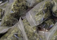Na Debelom brijegu zaplijenjeno 17 kilograma skanka