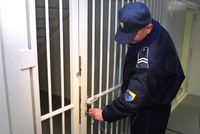 Ždralini pomagači u Tužilaštvu BiH