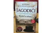 Predstavljen roman Jagodići