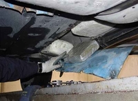 Crnogorska policija zaplijenila 41 kilogram skanka
