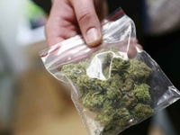 Brčko: U vikendici pronađena marihuana