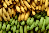 Najlakše se mršavi uz banana dijetu