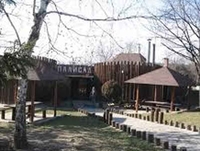 Kragujevac: Ranjen mladić