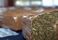 Makedonija: Zaplijenjeno 40 kilograma marihuane
