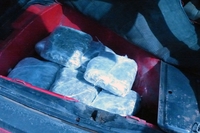 Pronađeno 10 kg marihuane