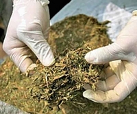 Kod Banjalučanina pronađena marihuana