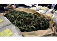 Zaplijenjeno 400 kilograma marihuane