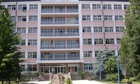 Leskovac: Izboden bračni par