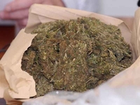 Albanija: Zaplijenjeno 458 kilograma marihuane