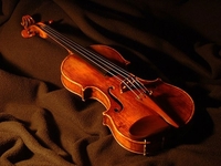 Spriječeno krijumčarenje violina s kraja 19. vijeka