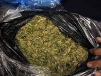 Makedonija: Zaplijenjena marihuana, uhapšen vozač kamiona