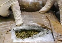 Zaplijenjeno 117 kilograma marihuane
