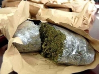 Zaplijenjeno 50 kilograma skanka na granici sa Hrvatskom