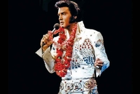Elvisov stvari na aukciji