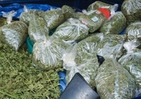 Zaplijenjena droga, pištolj, palice i noževi