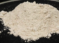 Kod Bilećanina pronađen heroin
