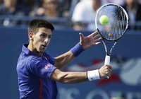 Novak: Najviše ambicije u Njujorku
