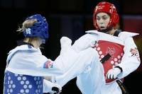 Mandićeva u Kući slavnih