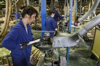 U novembru 35.796 radnika bilo prijavljeno na najnižu platu