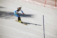 FIS kupa Jahorina: Najuspješniji takmičari iz BiH i Slovenije