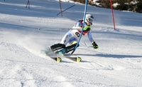 FIS kup Jahorina 2014. godine: Novakovićeva najuspješnija