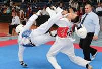 Drugi Srpska open u tekvondou: Domaćini uzeli najviše medalja