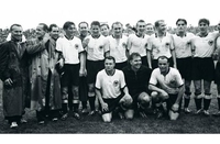 Mundijal Švajcarska 1954: Krah lake konjice