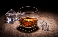Нови пословни хит – Palcohol