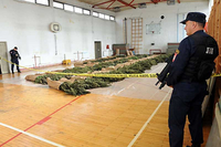  Uzgojili više od 750 kilograma marihuane