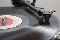 Cane, Koja, Rambo Amadeus...puštaju muziku u Beogradu