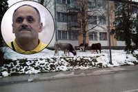 Uhapšen Zmaj od Šipova