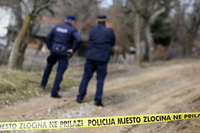  Kradljivci šume tukli vlasnika do besvijesti