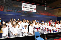 Revija mladosti i karatea u Boriku