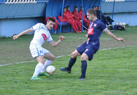 Drina bi da prekine seriju Zvijezde
