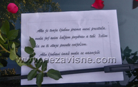 Romantika u Banjaluci nije izumrla: Auto osvanulo zatrpano cvijećem