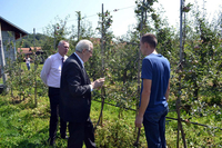Страдало око 5% усјева у РС, највише кукуруз и воће
