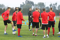 Nedostajaće nam Kolarov i Matić