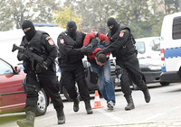 Di­le­ri­ma tra­ve 14 go­di­na ro­bi­je