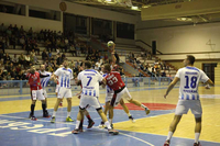 Domaći parket Leotarova tvrđava